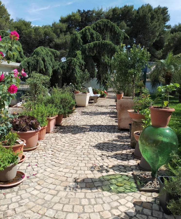 B & B Paradise Melendugno Exteriér fotografie